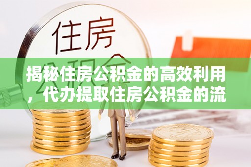 大兴安岭揭秘住房公积金的高效利用，代办提取住房公积金的流程与技巧