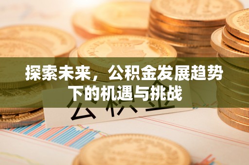大兴安岭探索未来，公积金发展趋势下的机遇与挑战